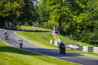 cadwell-no-limits-trackday;cadwell-park;cadwell-park-photographs;cadwell-trackday-photographs;enduro-digital-images;event-digital-images;eventdigitalimages;no-limits-trackdays;peter-wileman-photography;racing-digital-images;trackday-digital-images;trackday-photos